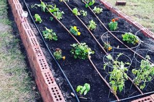 Boost Yield: Raised Garden Beds with Irrigation Systems Today! The Ultimate Gardening Guide: Grow a Thriving Garden Year-Round Boost Yield: Raised Garden Beds with Irrigation Systems Today! | The Ultimate Gardening Guide: Grow a Thriving Garden Year-Round
