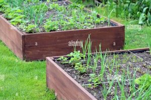 Grow Your Own: Urban Gardener Raised Garden Bed Guide! The Ultimate Gardening Guide: Grow a Thriving Garden Year-Round Grow Your Own: Urban Gardener Raised Garden Bed Guide! | The Ultimate Gardening Guide: Grow a Thriving Garden Year-Round