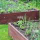 Grow Your Own: Urban Gardener Raised Garden Bed Guide! | The Ultimate Gardening Guide: Grow a Thriving Garden Year-Round