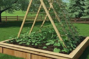 Best Raised Bed Garden Trellis Ideas + DIY Guide | The Ultimate Gardening Guide: Grow a Thriving Garden Year-Round