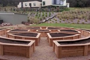 Essential Raised Bed Garden Accessories: Grow More! The Ultimate Gardening Guide: Grow a Thriving Garden Year-Round Essential Raised Bed Garden Accessories: Grow More! | The Ultimate Gardening Guide: Grow a Thriving Garden Year-Round