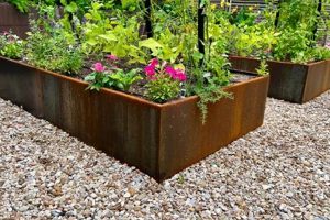 Elevate Your Garden: Corten Steel Raised Garden Beds The Ultimate Gardening Guide: Grow a Thriving Garden Year-Round Elevate Your Garden: Corten Steel Raised Garden Beds | The Ultimate Gardening Guide: Grow a Thriving Garden Year-Round