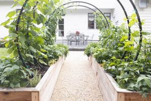 Easy Raised Garden Trellis Ideas: Grow Up! | The Ultimate Gardening Guide: Grow a Thriving Garden Year-Round