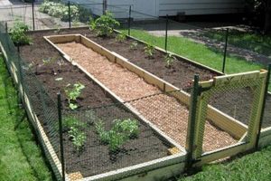 Build a Better U Shaped Raised Garden: Designs & Tips The Ultimate Gardening Guide: Grow a Thriving Garden Year-Round Build a Better U Shaped Raised Garden: Designs & Tips | The Ultimate Gardening Guide: Grow a Thriving Garden Year-Round