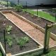 Build a Better U Shaped Raised Garden: Designs & Tips | The Ultimate Gardening Guide: Grow a Thriving Garden Year-Round