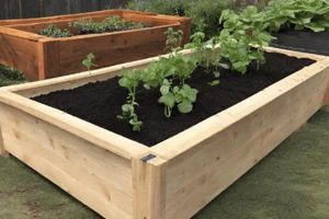 Maximize Yield: 4x8 Raised Garden Bed Guide Tips | The Ultimate Gardening Guide: Grow a Thriving Garden Year-Round