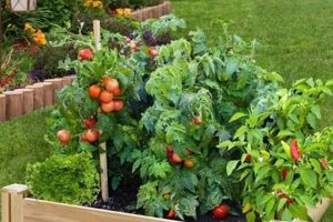 Grow Amazing Tomatoes: Raised Garden Bed Secrets | The Ultimate Gardening Guide: Grow a Thriving Garden Year-Round