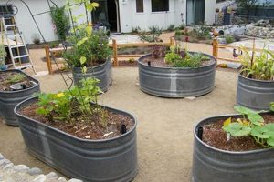 DIY Stock Tank Raised Garden Ideas: Tips & Tricks | The Ultimate Gardening Guide: Grow a Thriving Garden Year-Round