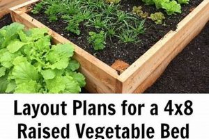 Best 4x8 Raised Bed Vegetable Garden Layout Ideas For Bountiful Harvests | The Ultimate Gardening Guide: Grow a Thriving Garden Year-Round