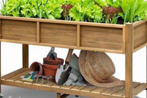 Best Polywood Raised Garden Bed: Kits & Benefits The Ultimate Gardening Guide: Grow a Thriving Garden Year-Round Best Polywood Raised Garden Bed: Kits & Benefits | The Ultimate Gardening Guide: Grow a Thriving Garden Year-Round