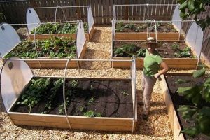 Grow Better: Greenhouse Cover for Raised Garden Bed Guide The Ultimate Gardening Guide: Grow a Thriving Garden Year-Round Grow Better: Greenhouse Cover for Raised Garden Bed Guide | The Ultimate Gardening Guide: Grow a Thriving Garden Year-Round