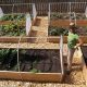 Grow Better: Greenhouse Cover for Raised Garden Bed Guide | The Ultimate Gardening Guide: Grow a Thriving Garden Year-Round