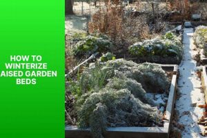 Prep & Protect: How to Winterize Raised Garden Beds for Spring | The Ultimate Gardening Guide: Grow a Thriving Garden Year-Round