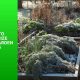 Prep & Protect: How to Winterize Raised Garden Beds for Spring | The Ultimate Gardening Guide: Grow a Thriving Garden Year-Round