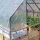 Grow More! Raised Garden Bed with Greenhouse Cover Plans | The Ultimate Gardening Guide: Grow a Thriving Garden Year-Round