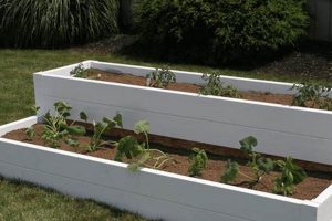 DIY PVC Raised Garden: Build Your Dream Garden Fast! The Ultimate Gardening Guide: Grow a Thriving Garden Year-Round DIY PVC Raised Garden: Build Your Dream Garden Fast! | The Ultimate Gardening Guide: Grow a Thriving Garden Year-Round