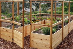 Build Protected Raised Garden Beds: Plans & Ideas | The Ultimate Gardening Guide: Grow a Thriving Garden Year-Round