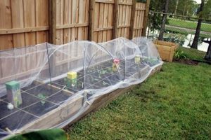 Grow Better: Row Covers for Raised Garden Beds & Beyond | The Ultimate Gardening Guide: Grow a Thriving Garden Year-Round