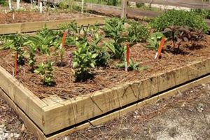 Level Raised Garden Bed: Easy Steps + Tips | The Ultimate Gardening Guide: Grow a Thriving Garden Year-Round