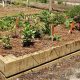 Level Raised Garden Bed: Easy Steps + Tips | The Ultimate Gardening Guide: Grow a Thriving Garden Year-Round