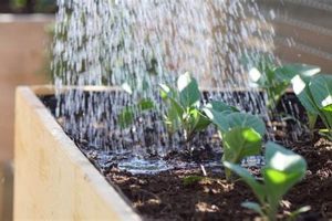 The Best Raised Garden Bed Water System Setup: Tips & Tricks | The Ultimate Gardening Guide: Grow a Thriving Garden Year-Round
