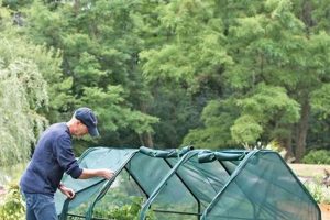 Best Raised Bed Garden Protection Tips [Guide] | The Ultimate Gardening Guide: Grow a Thriving Garden Year-Round