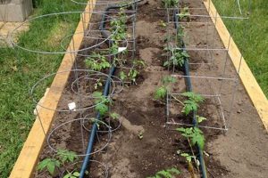 Maximize Yield: Raised Garden Bed Drip System Guide Now! | The Ultimate Gardening Guide: Grow a Thriving Garden Year-Round