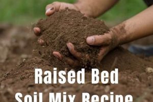 Best Raised Garden Soil Mix Recipe for Bumper Crops! The Ultimate Gardening Guide: Grow a Thriving Garden Year-Round Best Raised Garden Soil Mix Recipe for Bumper Crops! | The Ultimate Gardening Guide: Grow a Thriving Garden Year-Round