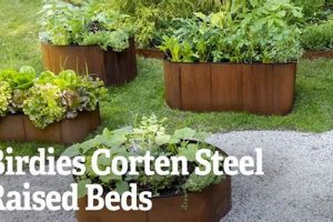 Best Birdie Raised Garden Bed: Kits & More for You! | The Ultimate Gardening Guide: Grow a Thriving Garden Year-Round