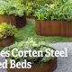Best Birdie Raised Garden Bed: Kits & More for You! | The Ultimate Gardening Guide: Grow a Thriving Garden Year-Round