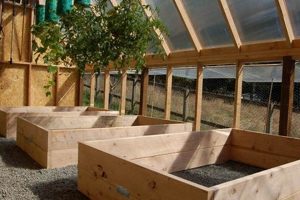 Grow More: Best Raised Garden Greenhouse Options Now The Ultimate Gardening Guide: Grow a Thriving Garden Year-Round Grow More: Best Raised Garden Greenhouse Options Now | The Ultimate Gardening Guide: Grow a Thriving Garden Year-Round