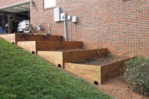 Hillside Haven: Raised Garden Bed on Hill Solutions | The Ultimate Gardening Guide: Grow a Thriving Garden Year-Round