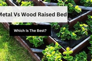 Metal vs Wood Raised Garden Beds: Which is Best? Guide | The Ultimate Gardening Guide: Grow a Thriving Garden Year-Round