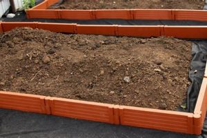 Benefits of Plastic Lined Raised Garden Beds DIY Guide | The Ultimate Gardening Guide: Grow a Thriving Garden Year-Round