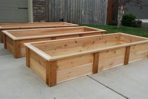 DIY Cedar Raised Bed Garden Plans: Build Your Dream! The Ultimate Gardening Guide: Grow a Thriving Garden Year-Round DIY Cedar Raised Bed Garden Plans: Build Your Dream! | The Ultimate Gardening Guide: Grow a Thriving Garden Year-Round