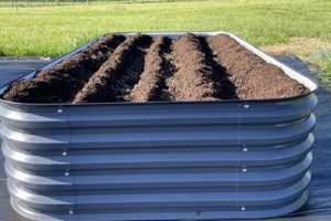 Benefits of Liner Raised Garden Bed: Tips &amp; Ideas | The Ultimate Gardening Guide: Grow a Thriving Garden Year-Round