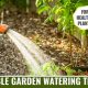 K-State's Effective Vegetable Garden Watering Tips & Tricks | The Ultimate Gardening Guide: Grow a Thriving Garden Year-Round
