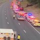 Garden State Parkway Accident Yesterday: What To Do Now! | The Ultimate Gardening Guide: Grow a Thriving Garden Year-Round