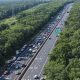 Why Garden State Parkway Buckles Happen + Solutions | The Ultimate Gardening Guide: Grow a Thriving Garden Year-Round