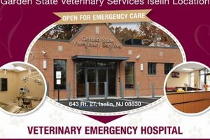 Best Garden State Vet Iselin: Services & Care Near You The Ultimate Gardening Guide: Grow a Thriving Garden Year-Round Best Garden State Vet Iselin: Services & Care Near You | The Ultimate Gardening Guide: Grow a Thriving Garden Year-Round