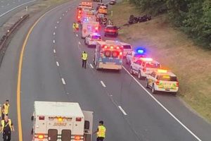 Breaking: Garden State Parkway Fatal Accident Today Updates | The Ultimate Gardening Guide: Grow a Thriving Garden Year-Round