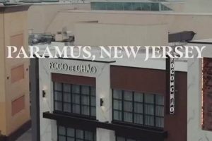 Garden State Plaza Fire: Safety After The Blaze [NJ] | The Ultimate Gardening Guide: Grow a Thriving Garden Year-Round