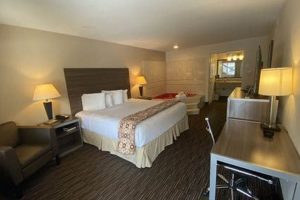 Stay Near Garden State Inn White Horse Pike: Find Deals + Tips! The Ultimate Gardening Guide: Grow a Thriving Garden Year-Round Stay Near Garden State Inn White Horse Pike: Find Deals + Tips! | The Ultimate Gardening Guide: Grow a Thriving Garden Year-Round