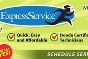 Your Garden State Honda Parts Source & More! The Ultimate Gardening Guide: Grow a Thriving Garden Year-Round Your Garden State Honda Parts Source & More! | The Ultimate Gardening Guide: Grow a Thriving Garden Year-Round