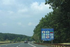 NJ's Cheesequake Rest Stop: Garden State Parkway Oasis! | The Ultimate Gardening Guide: Grow a Thriving Garden Year-Round