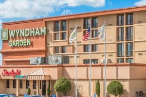 Stay Near EWR: Wyndham Garden Newark Airport Hotel Deals The Ultimate Gardening Guide: Grow a Thriving Garden Year-Round Stay Near EWR: Wyndham Garden Newark Airport Hotel Deals | The Ultimate Gardening Guide: Grow a Thriving Garden Year-Round