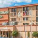 Stay Near EWR: Wyndham Garden Newark Airport Hotel Deals | The Ultimate Gardening Guide: Grow a Thriving Garden Year-Round