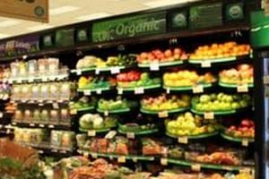 Shoprite Garden State Pavilion Nj | The Ultimate Gardening Guide: Grow a Thriving Garden Year-Round