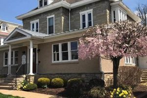 NJ's Garden State Psychiatric Services: Care & Support | The Ultimate Gardening Guide: Grow a Thriving Garden Year-Round