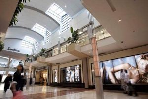 Discover: Stores at Garden State Plaza Mall Guide &amp; More | The Ultimate Gardening Guide: Grow a Thriving Garden Year-Round